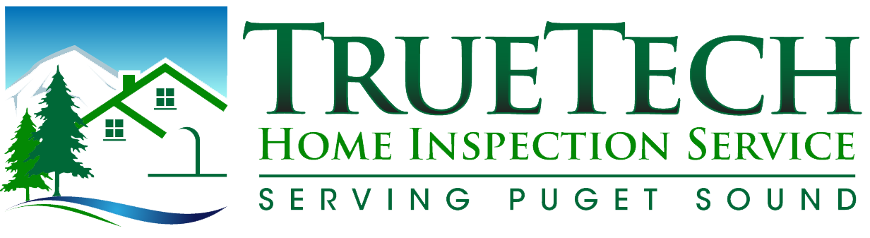 True tech Logo